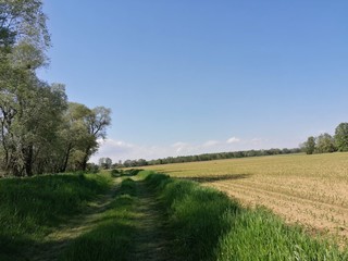 Fieldpath and riding-route  by riverland