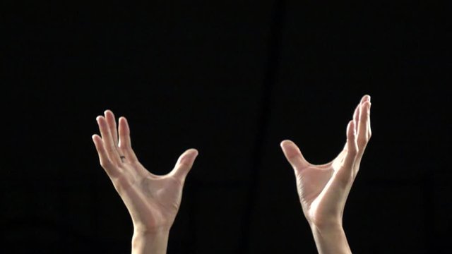 手, 指, 手, 指, 孤立した, サイン, 人間, palm, ジェスチャー, 黒, 5, アーム, 人々, 白, 概念, シンボル, 数字, オープン, 女性, 2, ビジネス, thumb, ストップ, 体