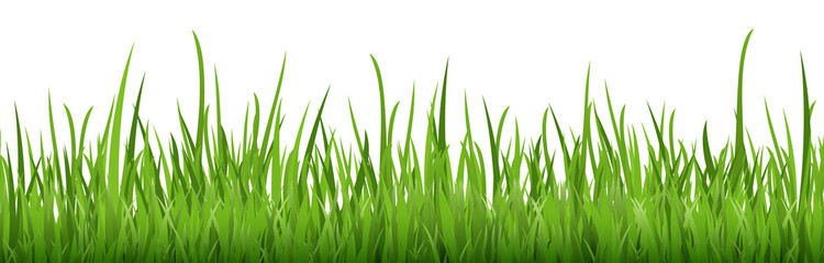 seamless floral grass panorama background