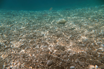 Naklejka na ściany i meble Underwater view of the Ieranto beach, in the southern Italy, Sorrento. The shot is takend during a sunny summer day, with rays of light coming inside the water. Amalfitana, Npoli coast