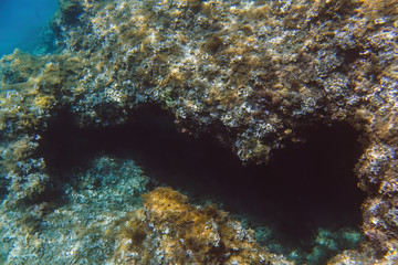 Fototapeta na wymiar Underwater view of the Ieranto beach, in the southern Italy, Sorrento. The shot is takend during a sunny summer day, with rays of light coming inside the water. Amalfitana, Npoli coast