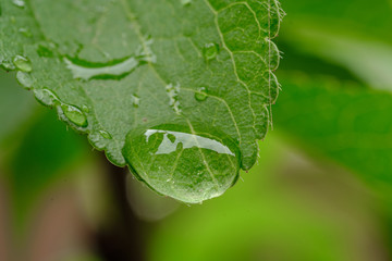 Una gota de lluvia