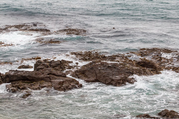 Pacific coast of the South island. Katiki point, New Zealand