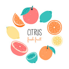 Set of citrus fruit, hand drawn colorful in flat style. Lemon, orange, grapes and lime, slice. Vector illestration