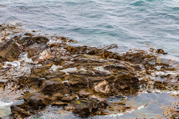 Rocky Pacific coast near Katiki point. New Zealand