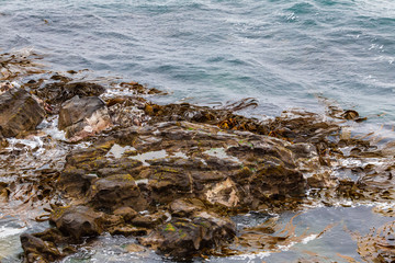 Pacific coast near Katiki point. South Island, New Zealand