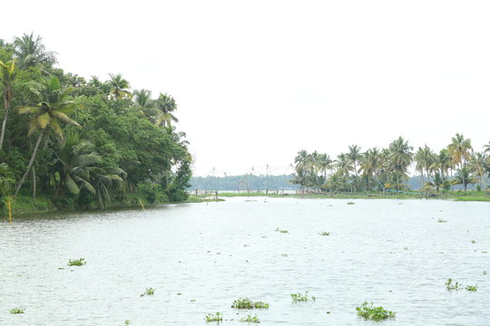 erala nature pictures. Find over 100+ of the best free kerala nature images. Free for commercial use ✓ No attribution required ...