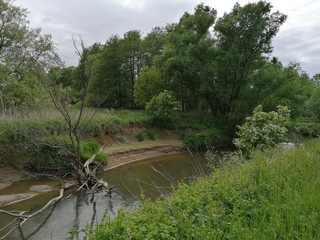 River LAFNITZ  typical   wilderness  MÄANDER zone