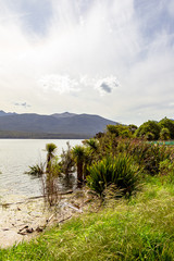 Rainy day at Te Anau lake. South Island, New Zealand