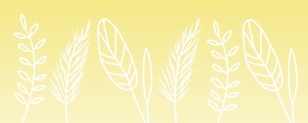 ears of wheat yellow illustration