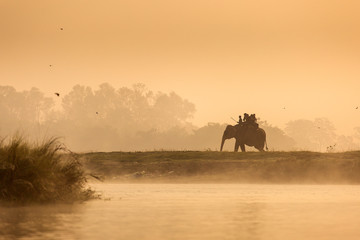 Fototapeta na wymiar Chitwan National Park, Nepal - November 21, 2017. Tourists on elephants having a safari journey in the morning. Crossing the river with fog.
