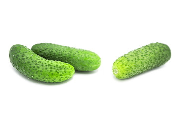 Ripe fresh organic cucumbers isolated on white background