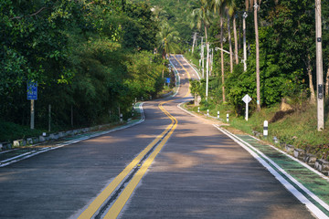 .empty winding road in jungle between Coconut palms in tropical island Ko Pha Ngan to Haad Sadet Beach