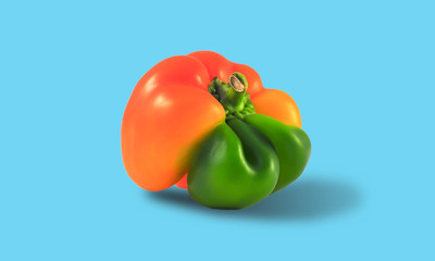 ugly yellow-green pepper of unusual shape on a blue background, close-up, horizontal orientation, copy space
