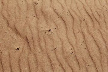 The texture of the sand is red with a pattern in the form of waves on the seashore. Sandy beach texture.