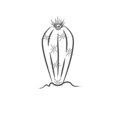 Isolated cactus icon
