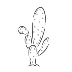 Isolated cactus icon
