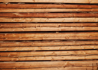 Fototapeta premium orange beautiful natural wood with texture