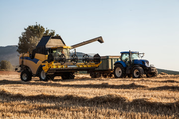 Obraz premium yellow harvesting machine, collecting the harvest from a wheat field at sunset on a summer day. unloading on a trailer and tractor