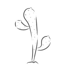 Isolated cactus icon