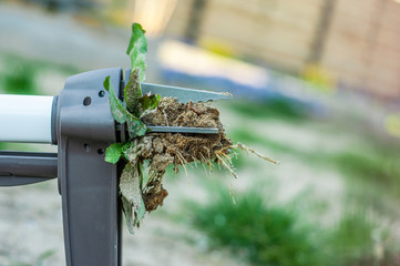 A good example of a weed removal tool. Capture a plant along with a root from the soil.