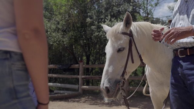 Guide explains with horse next to him