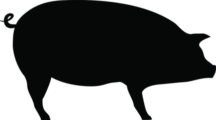 Pig icon, pork icon. Sow, pig, swine, hog. Vector black illustration on white. Print design. Animal. Pig silhouette