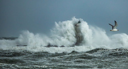 The lighthouse of the Mangiabarche shrouded by the waves of a mistral wind storm