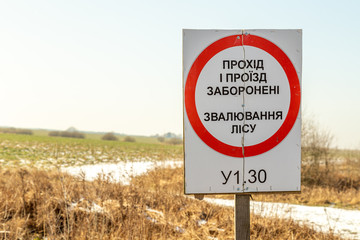 Consequences of criminal deforestation forests of Ukraine. The criminals cut down lots of trees and nobody can stop them. The formed lawn is completely cleared from the trees that were stolen.