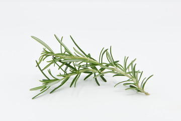 rosmarino rametto rosmarino erba aromatica 