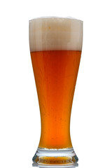 White wheat beer with foam in a glass