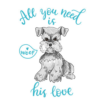 All you need is his love. Sketchy illustration with a Schnauzer dog