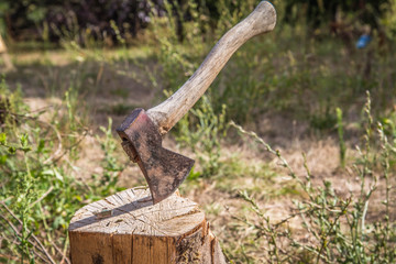 Axe embedded in a chopping block