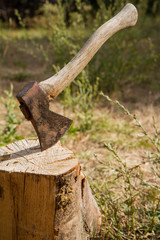 Axe embedded in a chopping block