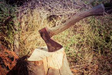 Axe embedded in a chopping block
