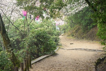 Forrest walking path at Miyajima, Kurashiki.