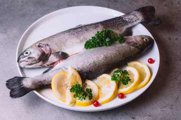 Fresh trout fish with lemon parsley cranberries