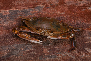 Raw crab - ready for cooking