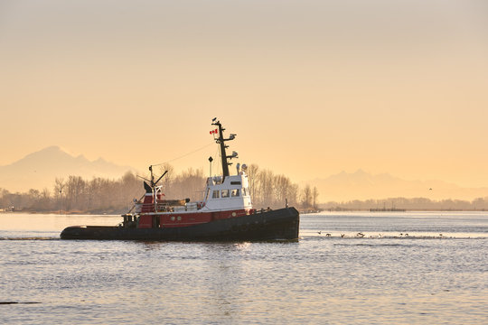 Early Morning Tugboat. A tugboat departs the calm water of Steveston Harbor in British Columbia, Canada near Vancouver.

