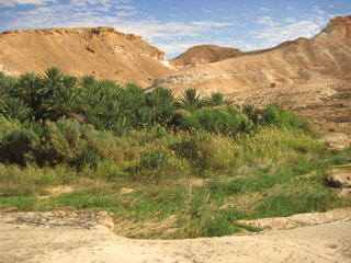 The landscape of Tozeur in Tunisia.