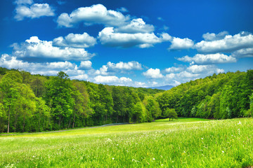 Obraz premium panoramic view of green fields and meadow with blue cloudy sky