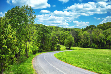 Fototapeta na wymiar panoramic view of green fields and trees and small road