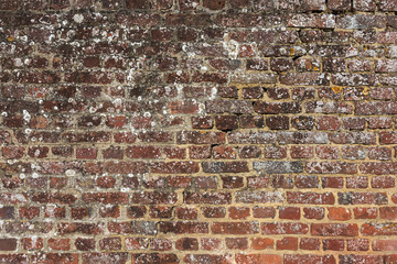 Mur de brique avec lichen et mousse