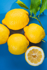 Organic Lemons on Blue Background 