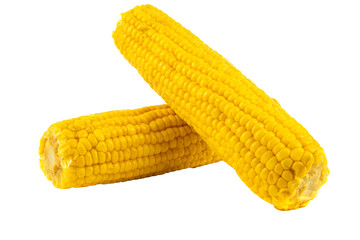 Boiled corns isolated on white background, closeup view