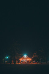 beach party