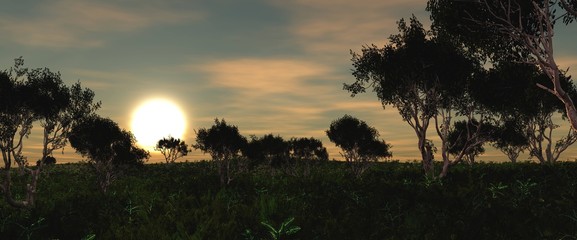 Sunset in the savannah, sunset on the prairie, 3D rendering