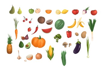 Color fruits illustration