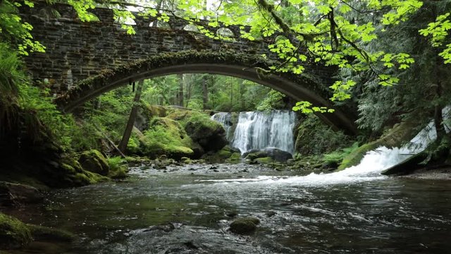 Whatcom River Flowing Down Cascading Falls and Over Beautiful Moss Covered Rocks