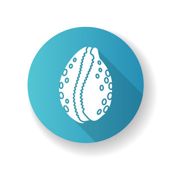 recommend clip art: Cowrie shell blue flat design long shadow glyph icon. Decorative ocean souvenir, conchology Luria cinerea. Empty molluscan animal, cephalopod shell silhouette RGB color illustration